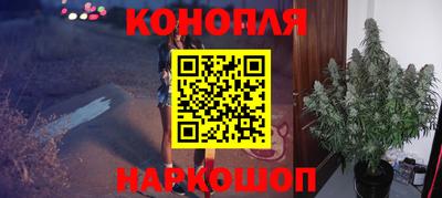 стаф Волгодонск