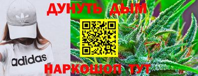 стаф Волгодонск