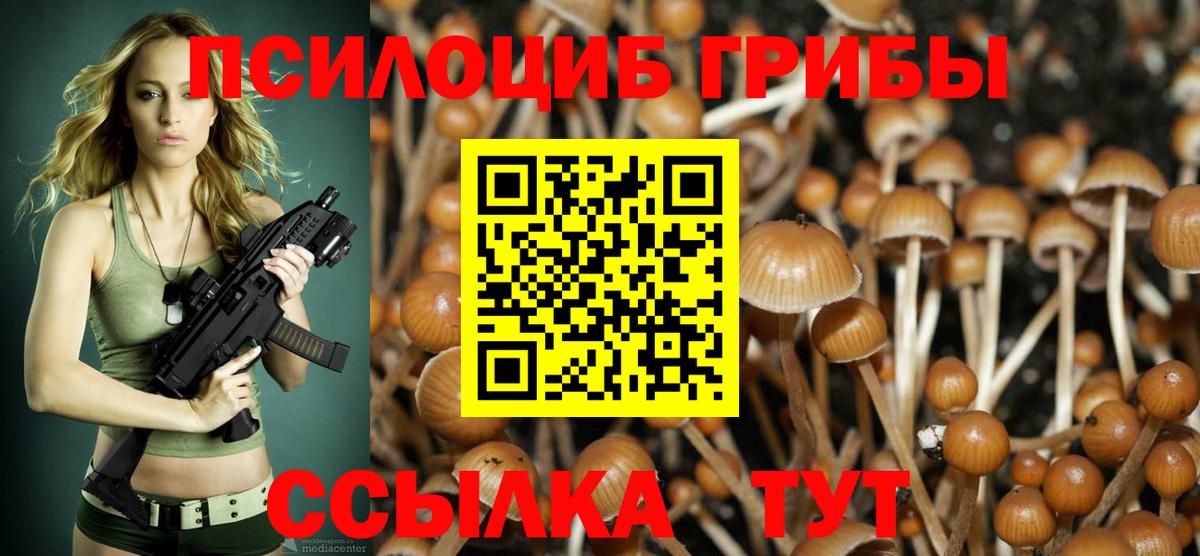 Псилоцибиновые грибы Cubensis Мегион