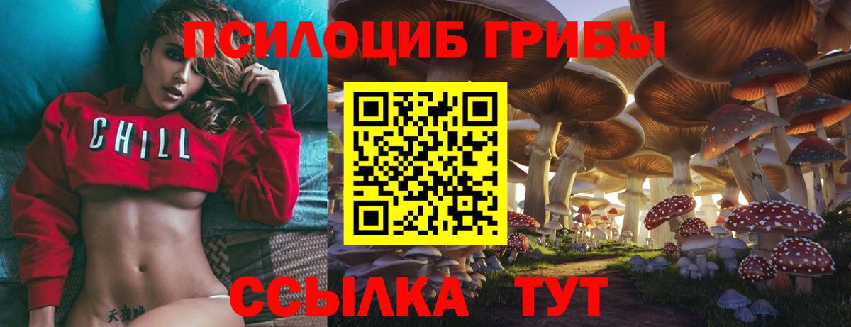 Псилоцибиновые грибы Cubensis  Вход с VPN  Мегион 